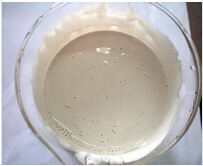 長效膠水防腐劑